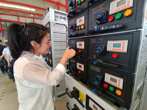 建設(shè)國家區(qū)域中心城市工作一線跟班學(xué)習(xí)干部赴長城電氣調(diào)研