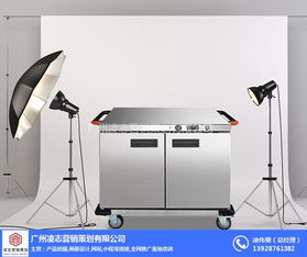 新造鎮(zhèn)畫冊設計服務——凌志營銷策劃的優(yōu)質(zhì)企業(yè)解決方案