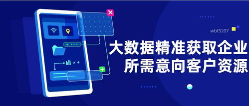 大數(shù)據(jù)精準(zhǔn)營銷 破解飛蜥等企業(yè)起步獲客難題的利器