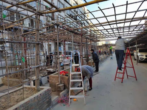河北保定蓮池區(qū)罐頭廠新宿舍環(huán)境大整改行動(dòng)見成效 環(huán)境衛(wèi)生與公共設(shè)施安裝服務(wù)雙提升